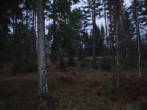 Naturvärdesobjekt yrkabrattebro backe Objekt ID 110 Robert Björklind Äng och betesmark Trädbärande hage Natura 2000 naturtyp Visst Visst Betat område som tämligen nyligen har restaurerats från skog
