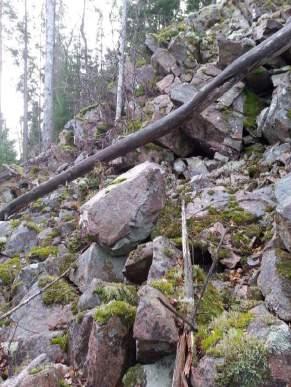 Naturvärdesobjekt yrkabrattebro backe Objekt ID 3 Rebecka Le Moine Berg och sten Brant Natura 2000 naturtyp