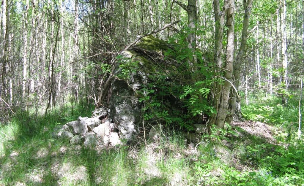 En genomgång av dessa kartor visar att området har varit skog på 1700-talet (Storskifte på inägor 1792) och betesmark på 1800-talet (Storskifte på skog/skogsmark 1819).