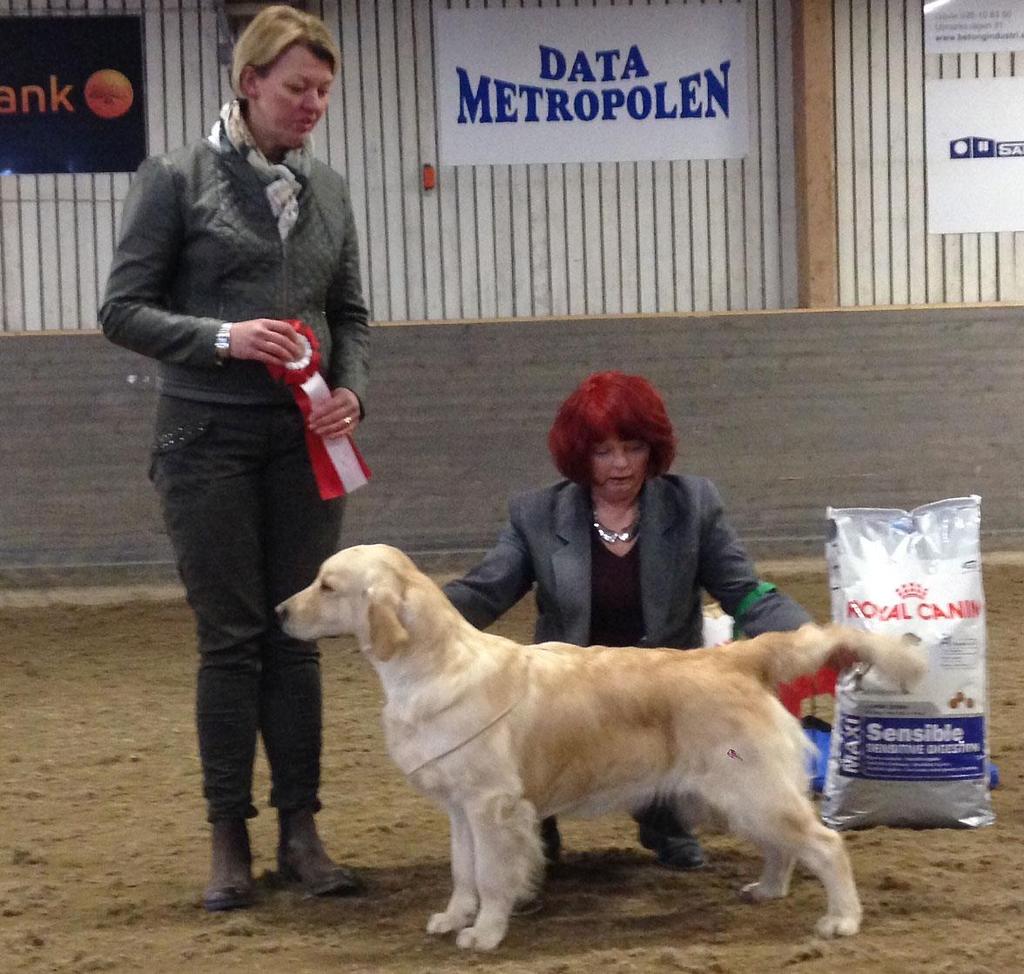 UTSTÄLLNINGSRESULTAT Datum: 2014-03-16 Plats: Högbo Ridhus, Sandviken Avdelning: Gävleborg Best In Show Domare: Tina Angrell (Hundens namn, Ras, Ägare, Ort) 1.