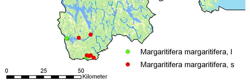 Ingen rekrytering har noterats under de senaste decennierna och det enda vattendrag som har ett musselbestånd med mer än 100 individer är Bulsjöån vid Olstorp. Figur 3.