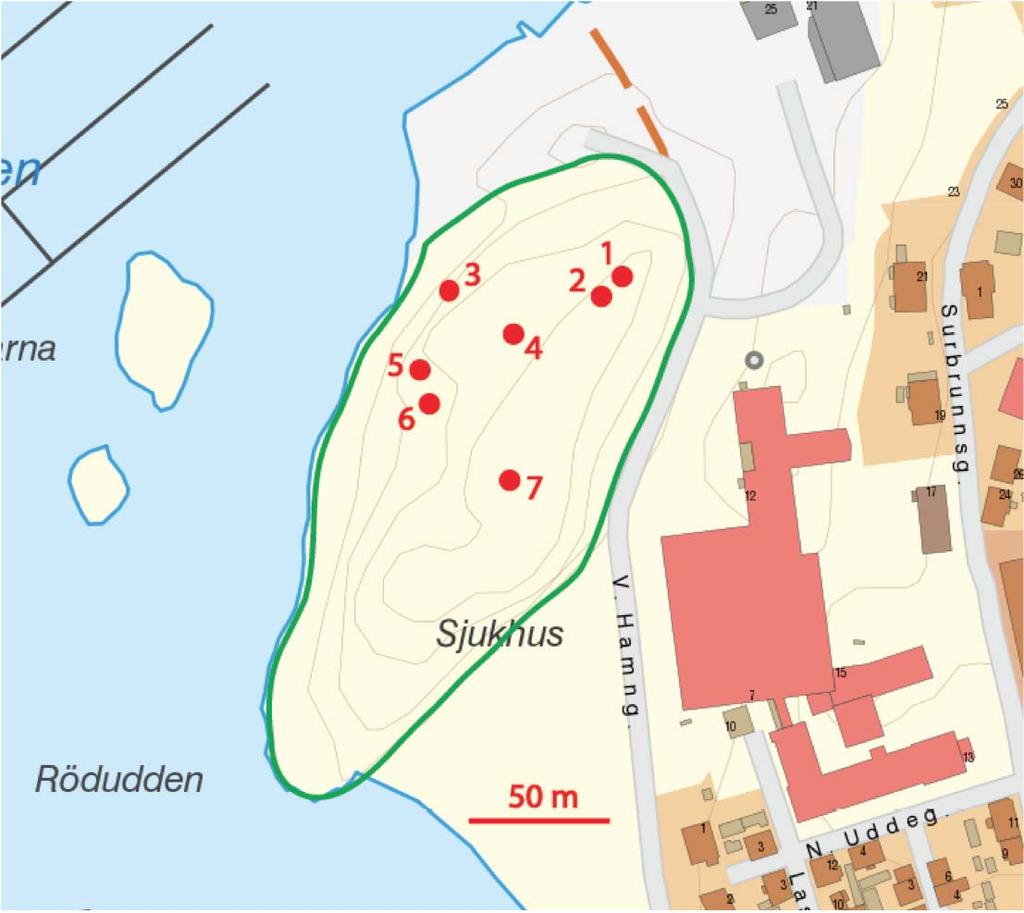 Det inventerade området har sannolikt inget värde för bestånden av sandödla och hasselsnok i Strömstad, då förutsättningarna för reproduktion och övervintring inom området är ytterst begränsade.