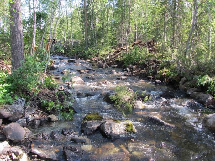 I sidofåran vid den nedre rännan hade dessutom en stor hög av trävirke ansamlats vilket skapade ytterligare vandringssvårigheter.