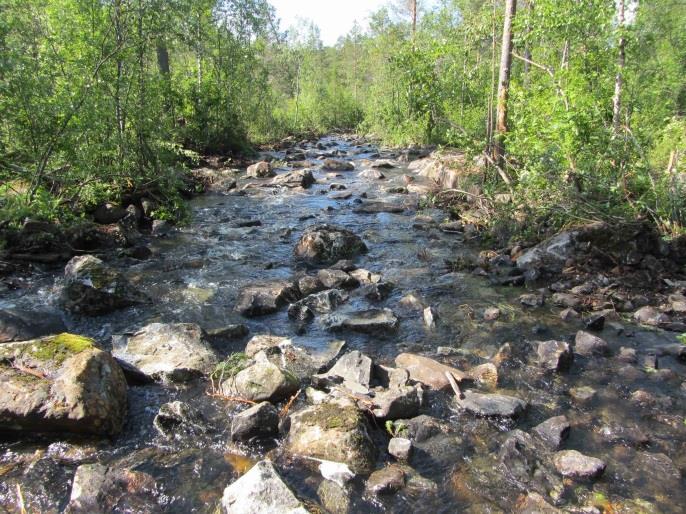 Resultat uppföljande elfiske har elfiskats vid sju olika tillfällen, varav tre elfisketillfällen innan den första restaureringen 1997, två tillfällen strax efter restaureringen samt ett tillfälle