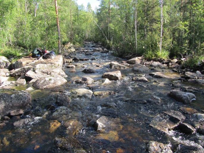 Inga exakta data på antal fångade fiskar eller tätheter har däremot kunnat återfinnas.