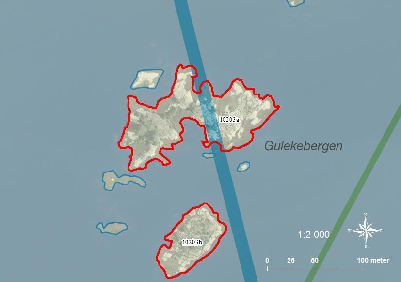 10203a Gulekebergen SE0530113 4 0,86 10203b Gulekebergen SE0530113 3 0,31 A: Klippskär med mycket småträd, sly och buskar.