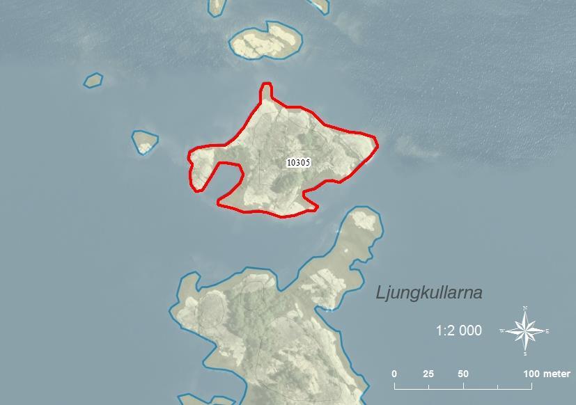 10305 Ljungkullarna södra SE0530113 4 0,66 Klippskär med en del sly och buskar utspridda över ön, samt några tallar i södra delen.
