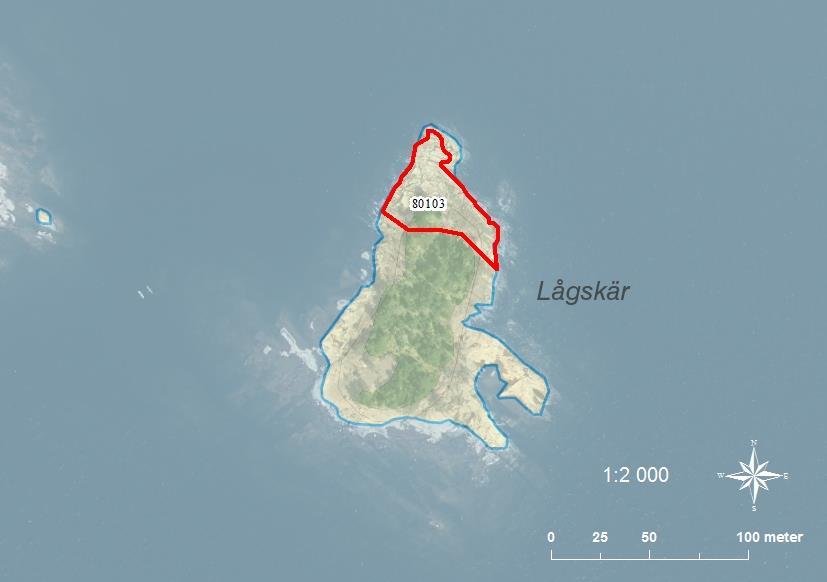 80103 Lågskär SE0540076 3 0,17 Stort klippskär som till stora delar är skogsbeklätt. Norra udden är intressant som fågelskär. På norra udden finns flera träd samt sly och buskar.