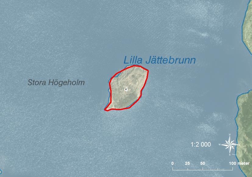 4 Stora Högeholm SE0540085 5 0,35 Stora Högeholm är ett tidigare fågelskär som växte igen redan på 1970- och 80-talet. En ca 6m hög ö med flera aspar på ca 8m i sydöstra delen.