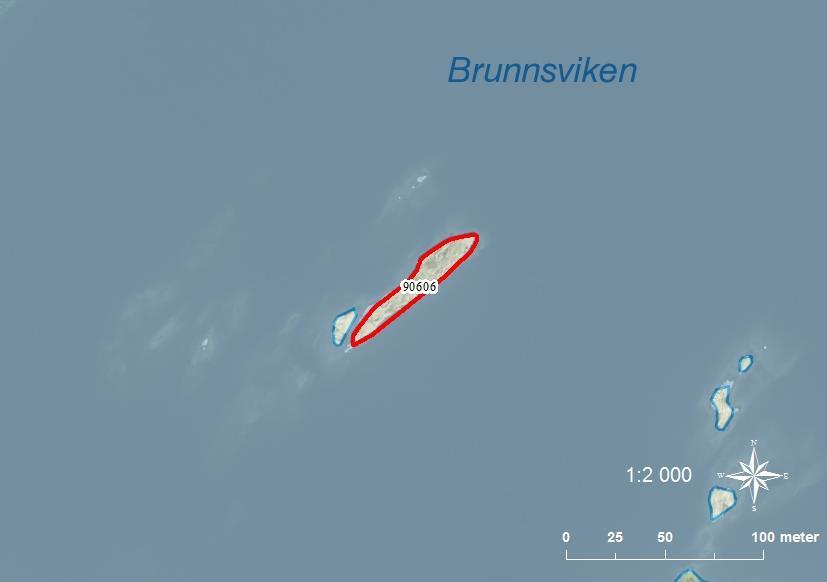 90606 Brunnsvikens skär SE0540085 1 0,08 Klippskär med enstaka videbuskar.