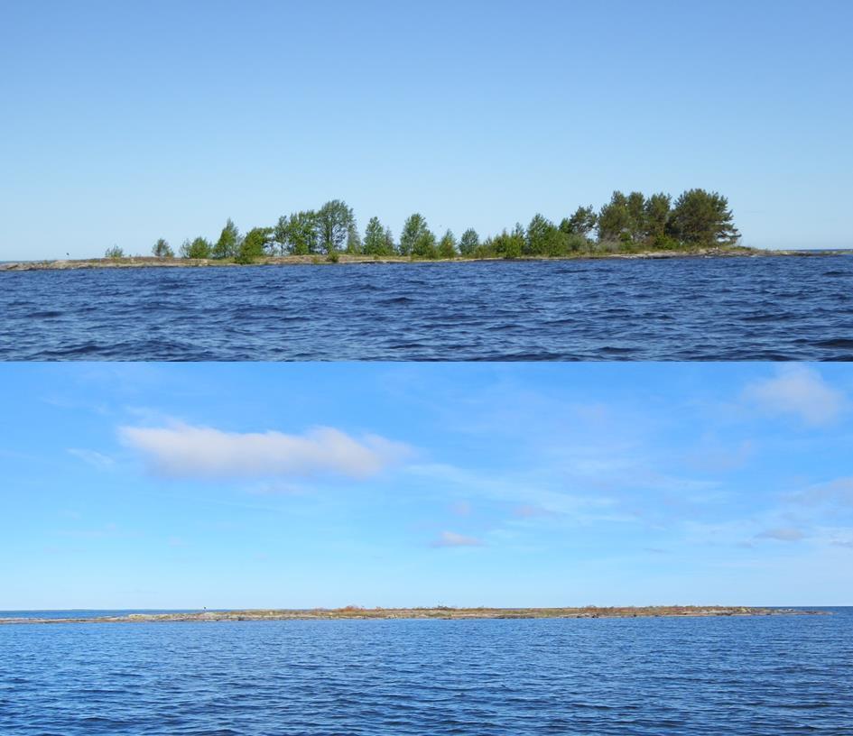 Sida 6(7) Exempel på fotodokumentation före och efter röjningsåtgärd. Fågelskär 80301vid Djuröarna. Foto: Anders Stagen.