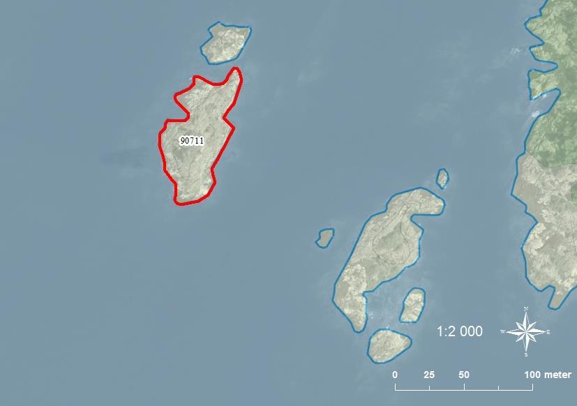 90711 Södra Enholmarnas sydvästskär SE0540085 4 0,33 Klippskär som är igenväxt med sly, buskar och tallar i