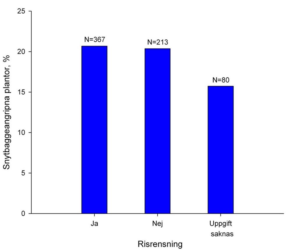 Risrensning Resultaten visar inte någon skillnad mellan hyggen som risrensats eller ej (Figur 6).