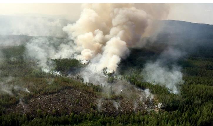 ERFARENHETER FRÅN SOMMARENS EXTREMVÄDER