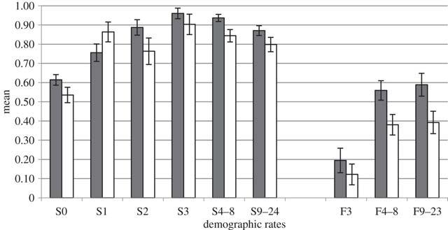 Means and standard errors of the survival (S) and fecundity (F) rates for