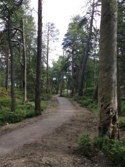 Preliminär bedömning Högt biotopvärde Högt artvärde 1 Högsta naturvärde Nej Naturvårdsarter alluna: tallticka, ekticka, grovticka, rävticka, valkticka, svavelticka, motaggsvamp, blåmossa,