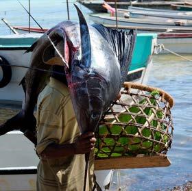 Dag 5 Idag besöker vi Kizimkazi- en av två fiskebyar där den