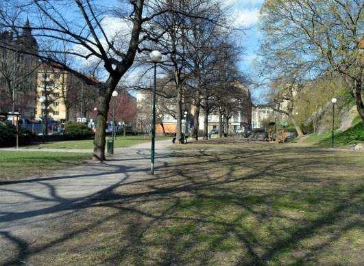 Innan dagens Stigbergspark anlades formades under 1900-talets början en långsträckt park utmed Folkungagatan. Träden längs befintlig gata utgör en rest av denna och är en del av ett tänkt parkstråk.
