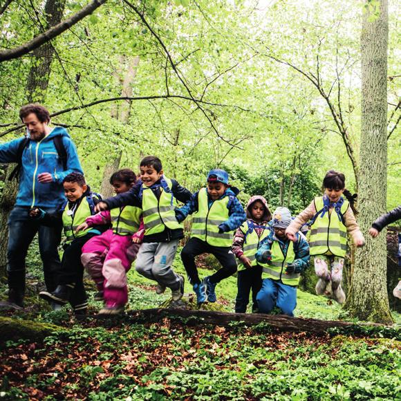 Allt ni behöver är en park eller ett mindre naturområde i närheten av skolan så hjälper vi till med resten. Skogshjältarna är nära knutet till läroplanen. Hör av dig till oss via friluftsframjandet.