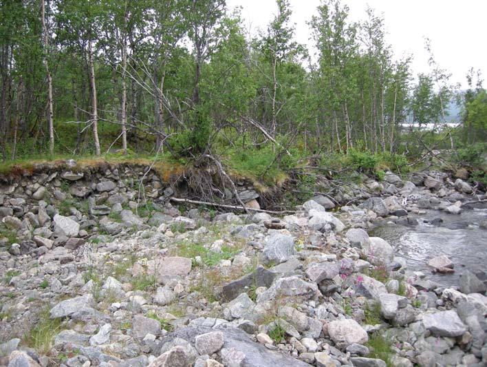 Fornlämningsmiljö Aktuellt område har inte genomgått någon fornminnesinventering men under 2006 utförde projektet Skog och Historia en inventering i närområdet.