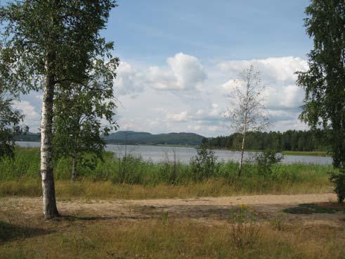 Åtgärder Skogsbruket Ansvarig: Skogsstyrelsen Under oktober 2007 togs uppgifter fram om markanvändning i avrinningsområdet.