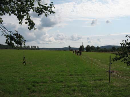 Åtgärder Djurhållning Ansvarig: Söderhamns och Bollnäs kommun Fram till och med maj 2008 har tillsyn enligt miljöbalken skett vid 25 av de 50 djurhållande verksamheter som planerats.