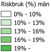 Kvinnor Riket 13 %