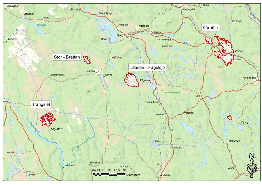 Orienteringskarta över