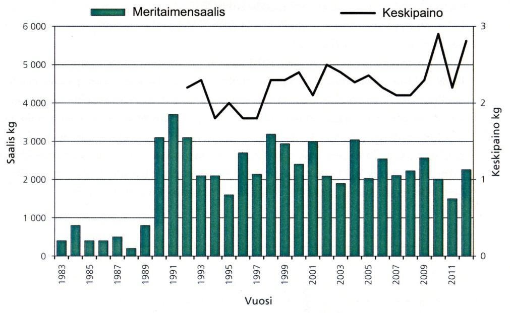 5 Bild 2. Havsöringsfångsten på Finska sidan av Torneälven (i grönt, vänstra skalan) och fiskarnas medelvikt i kilo (svarta kurvan, högra skalan) åren 1982-2012 (bild: Vähä m.fl. 2013). 2.3 Habitatkartering kring utloppsrörets mynning i Muonioälven År 2014 karterades laxens förökningsområden och livsmiljöer för yngel nedströms från utloppsröret (Pöyry Finland Oy 2014).