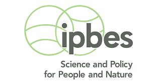 Institutionen fö Ekologi Pollinatöe, pollineing och livsmedelspoduktion IPBES Deliveable 3a Pof.