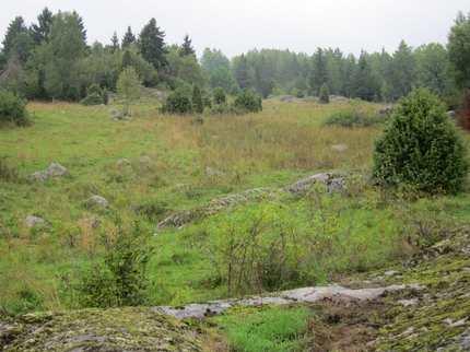 livsmiljöe Öka mångfalden av livsmiljöe i