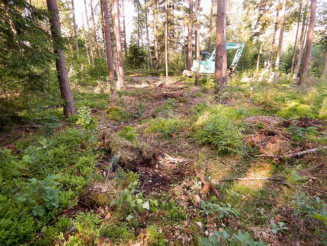 8 Bohusläns museum Rapport 2018 :23 Figur 5. Norra strandplanen schakt 1 i förgrunden. Fotot taget från öster av Oscar Ortman, Bohusläns museum.