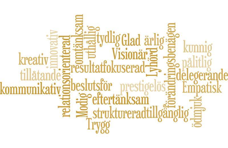 Ledarskap