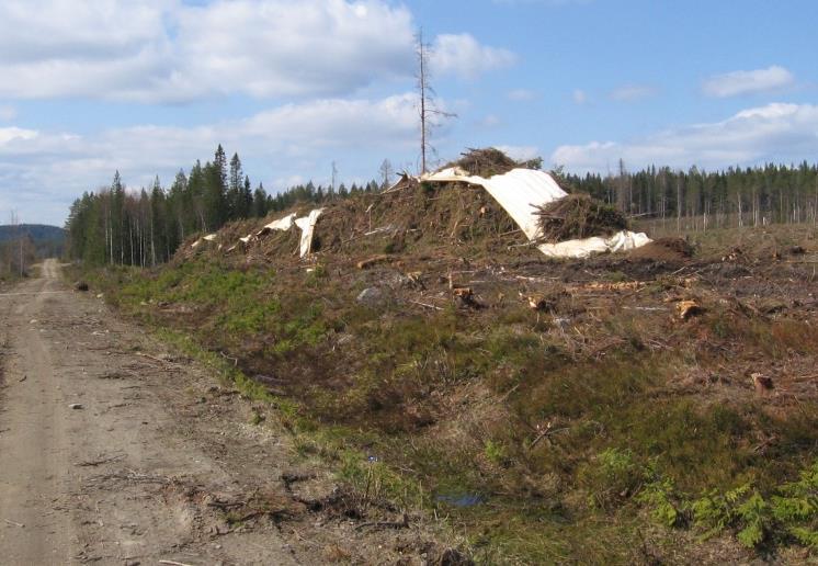 Vad orsakar försurning Förbränning av fossila