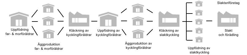 Säkerhet och hälsoprogram i hela värdekedjan Hälsa