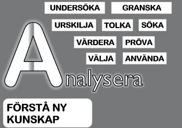 3 Rara - en sammanfattning 1. Reflekterafasen Vad kan jag? Vad behöver jag lära mig?