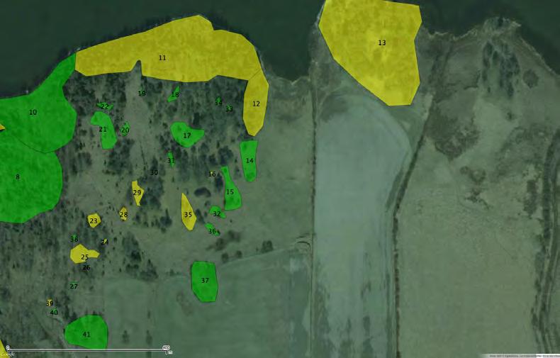 Naturbetesmarker Naturvärdesbedömning Figur 5. Naturvärdeskarta med utpekade naturvärden vid, av Ekologigruppen AB hösten 2013. Detaljkarta över hagmarksrester vid Tegeludden.