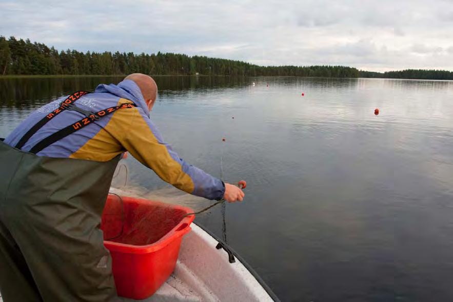 Bakgrund Figur 2. Läggning av ett pelagiskt översiktsnät vid provfisket i Sandsjön 21. OMRÅDESBESKRIVNING Sandsjön ingår i Lagans vattensystem och är belägen drygt 5 km nordost om Vaggeryd.