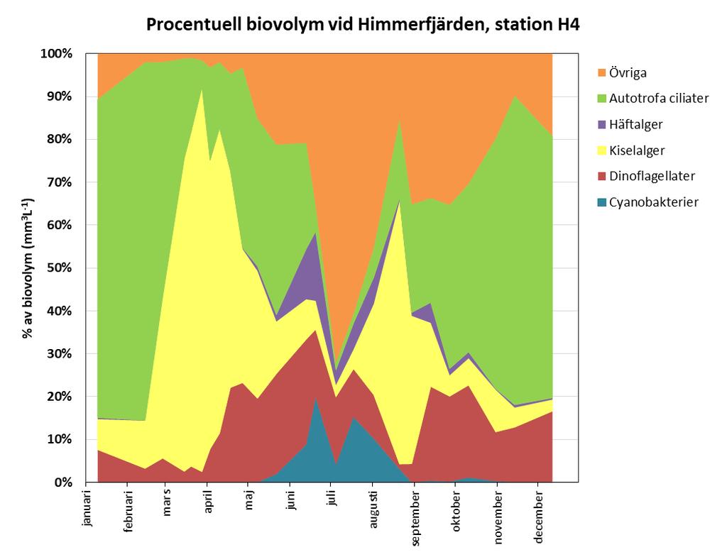 Fig. 5.2b. Olika växtplanktongruppers procentuella andel av den totala biovolymen vid station H4, 2017. Kvävefixerande cyanobakterier under sommaren I figur 5.