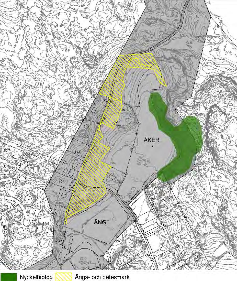 fortfarande omfatta höga naturvärden, med många arter som indikerar på detta; slåtterfibbla, jungfrulinarter, bockrot, solvändearter m.fl, se figur 6.