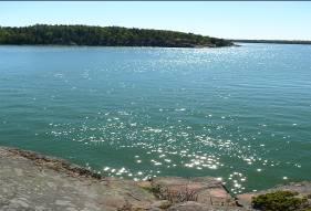Skadliga algbestånd som sköljs upp på stränderna på sommaren skapar förtret bland badarna och de andra rekreationsanvändarna på grund av att de luktar illa och gör stränderna slemmiga. 5.