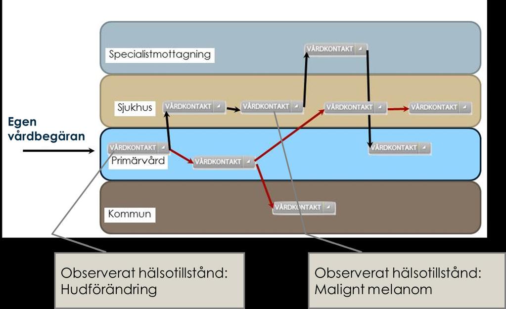 Hälso- och sjukvård nyttoanalysen som genomfördes. Resultatet av nyttoanalysen redovisades i Socialstyrelsens rapport Hälsoärende förutsättningen för ett process-id inom hälso- och sjukvården[4].