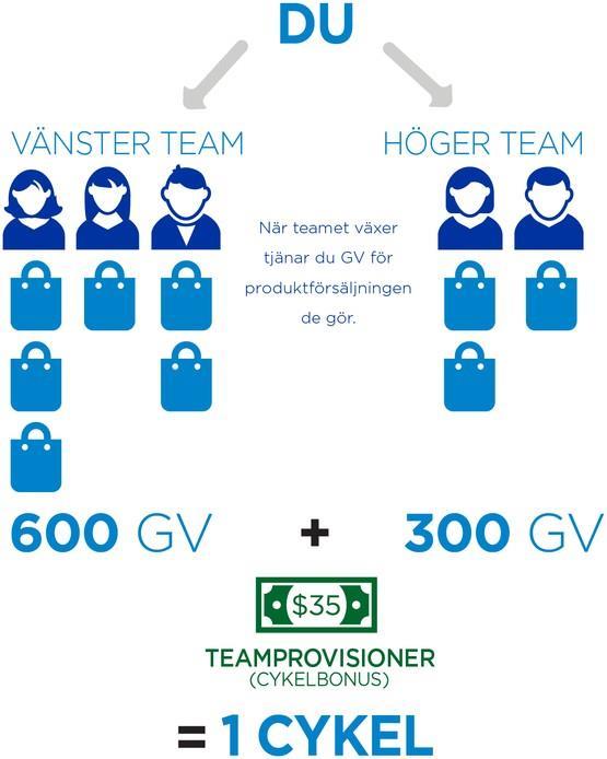 TREDJE SÄTTET ATT TJÄNA PENGAR: TEAMPROVISIONER FÅ PROVISION PÅ TEAMETS FÖRSÄLJNING När du skapar ett nätverk med distributörer placeras de till höger eller vänster i distributörens teamträd.