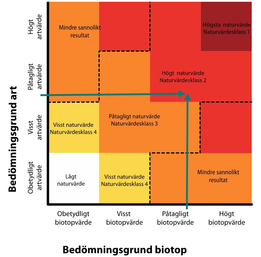 Naturvärdesbedömningen utgår från två bedömningsgrunder: art och biotop, som vägs samman enligt fig 1.