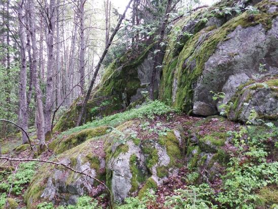 8. Objekt 2 utgörs av en bergsbrant i Lommareskogen.