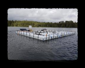 Recipientkontrollen i Lagan 2017 Medins Havs och Vattenkonsulter AB Forskningsplattform med sk mesoskosmer.