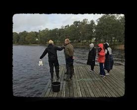 Recipientkontrollen i Lagan 2017 Medins Havs och Vattenkonsulter AB Biolog studerande från högskolan i Halmstad genomför fältundersökningar på och vid Bolmen.