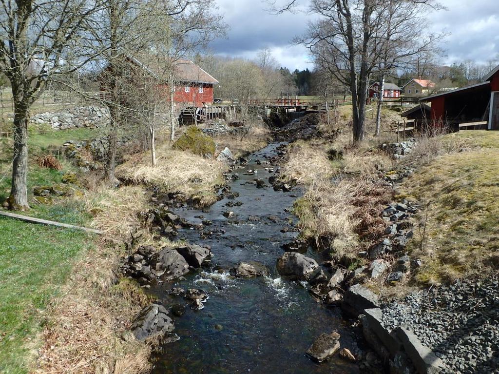 Recipientkontrollen i Lagan 2017 Medins Havs och Vattenkonsulter AB 16. Bottenfauna i sjölitoral Bottenfaunan i Bolmens litoral vid Prästnabben var mycket artrik och måttligt individrik.