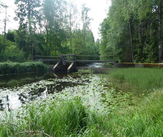 Åtgärd Avsänkning av