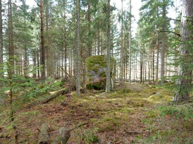 PLATSENS FÖRUTSÄTTNINGAR Mark och vegetation Planområdet består, med undantag av del av Hanaslövsvägen, av naturmark i form av produktionsskog och är till största del beläget på